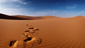 Desert-Tracks